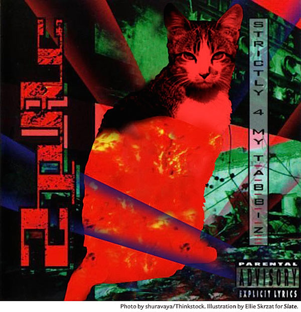 Cat_Rap_HipHop_Covers_08