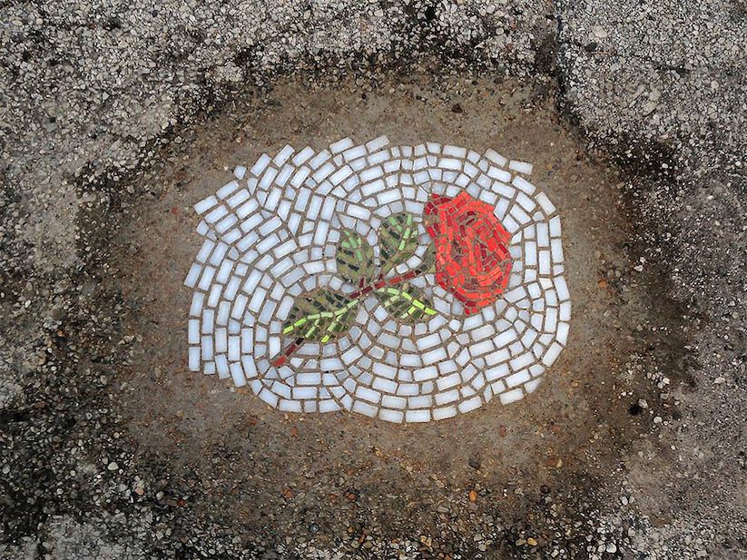 chicago_pothole_flowers_06
