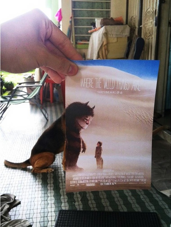 New_Famous_Movie_Posters_Hijacked_by_Malaysian_Instagramer_Jaemy_Choong_2015_02
