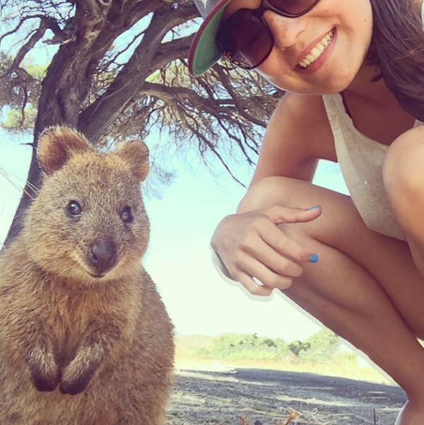 Quokka_Selfies_Meet_the_Worlds_happiest_Animal_on_Instagram_2015_02