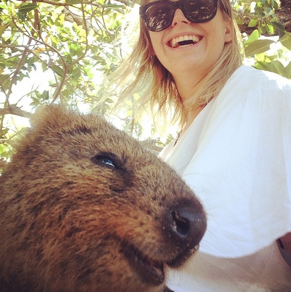 Quokka_Selfies_Meet_the_Worlds_happiest_Animal_on_Instagram_2015_04