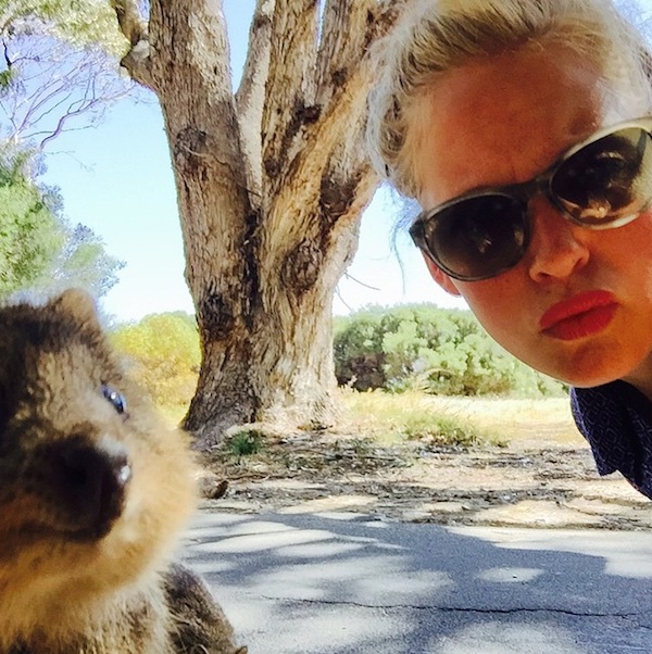 Quokka_Selfies_Meet_the_Worlds_happiest_Animal_on_Instagram_2015_07