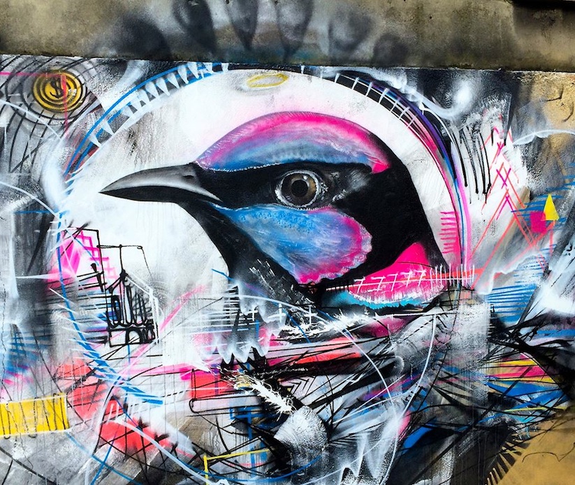 New_Spray_Painted_Birds_by_Brazilian_Artist_L7m_in_Paris_2015_05