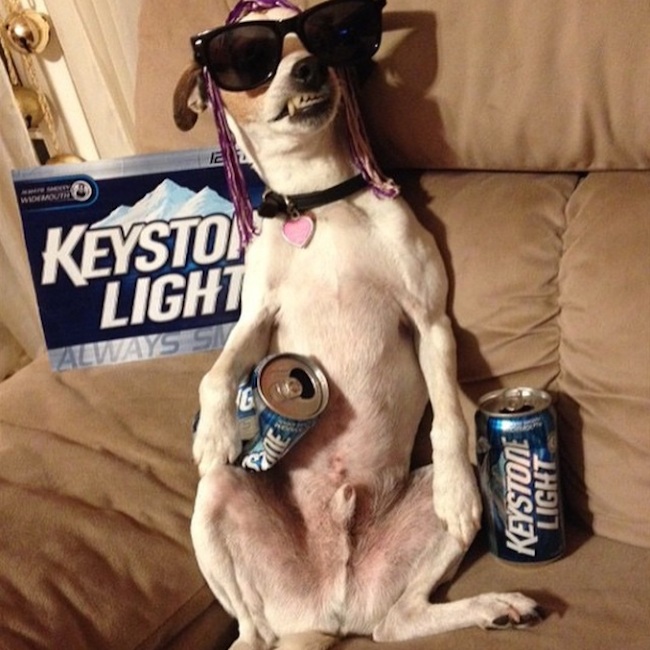Meet_the_Hilarious_Drunk_Dogs_Of_Instagram_2015_03