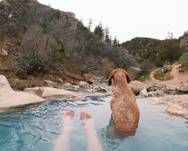 The_Adorable_Adventures_of_Coonhound_Maddie_2015_04