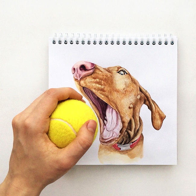 Interactive_Dogs_Colorful_Pet_Portraits_by_Russian_Illustrator_Valerie_Susik_2015_01