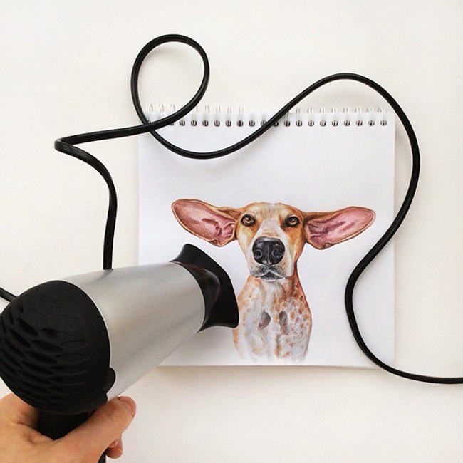 Interactive_Dogs_Colorful_Pet_Portraits_by_Russian_Illustrator_Valerie_Susik_2015_04