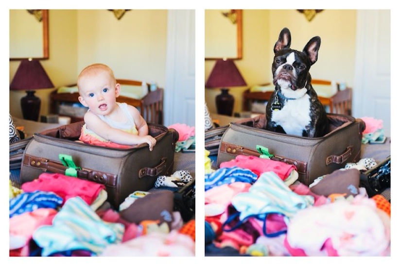 One_dog_One_baby_by_Jesse_Holland_2015_08