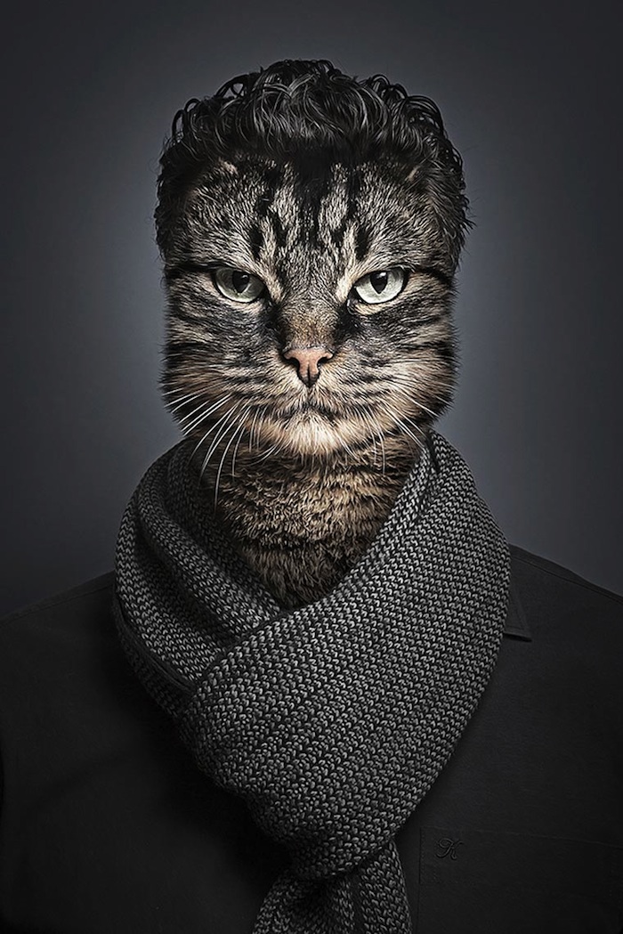 Underdogs_and_Undercats_by_Swiss_Photographer_Sebastian_Magnani_2015_02