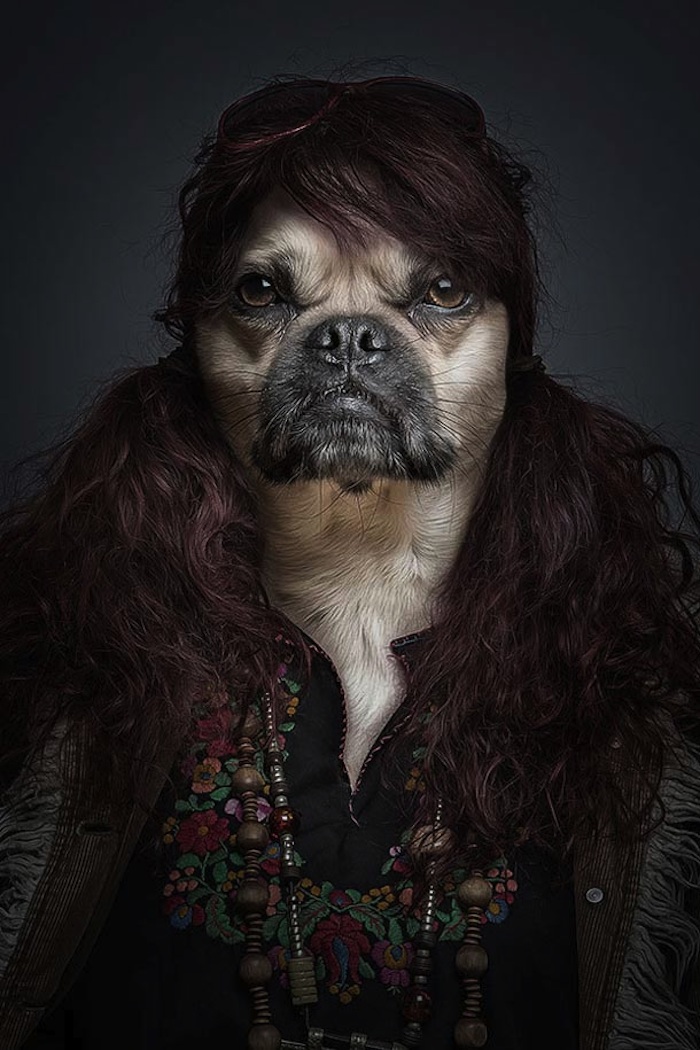 Underdogs_and_Undercats_by_Swiss_Photographer_Sebastian_Magnani_2015_03