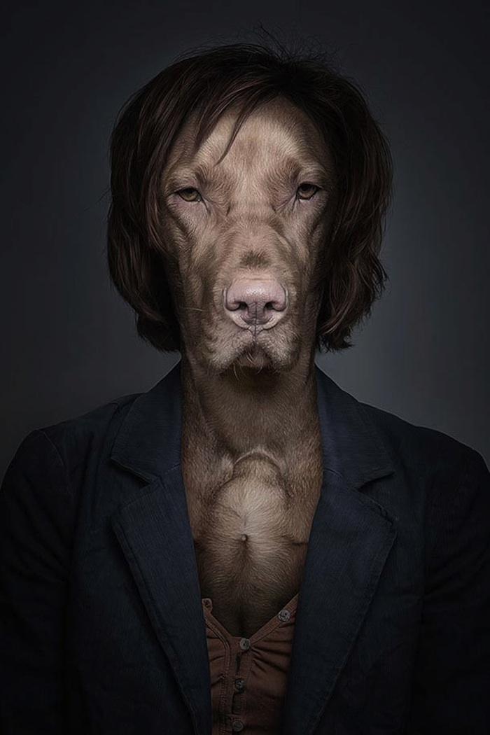 Underdogs_and_Undercats_by_Swiss_Photographer_Sebastian_Magnani_2015_04