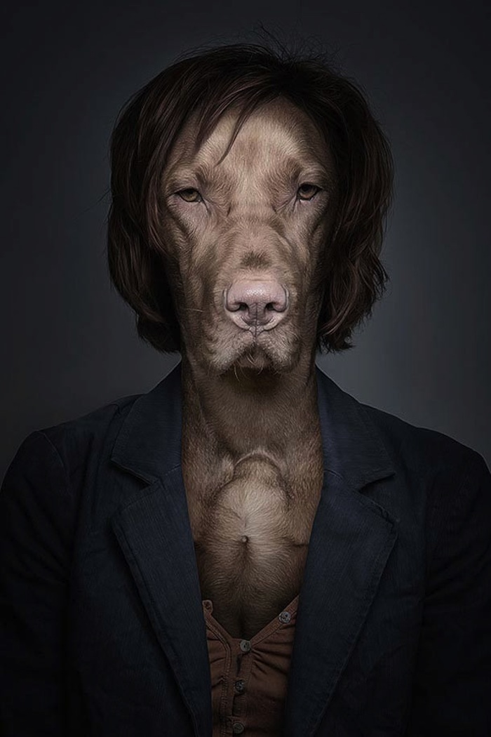  Underdogs Undercats By Photographer Sebastian Magnani
