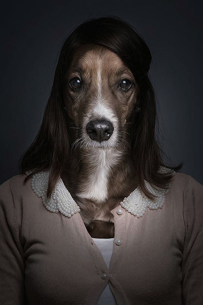 Underdogs_and_Undercats_by_Swiss_Photographer_Sebastian_Magnani_2015_07
