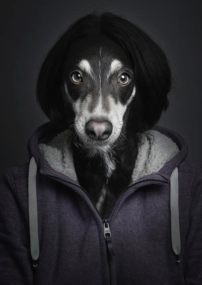 Underdogs_and_Undercats_by_Swiss_Photographer_Sebastian_Magnani_2015_08