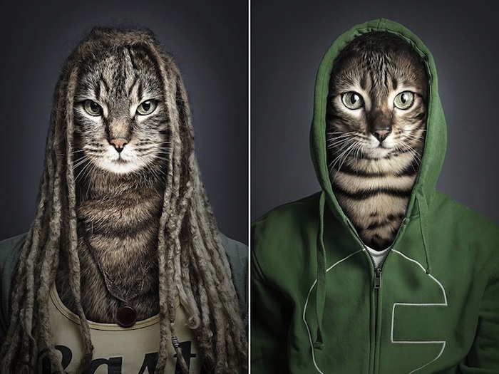 Underdogs_and_Undercats_by_Swiss_Photographer_Sebastian_Magnani_2015_09