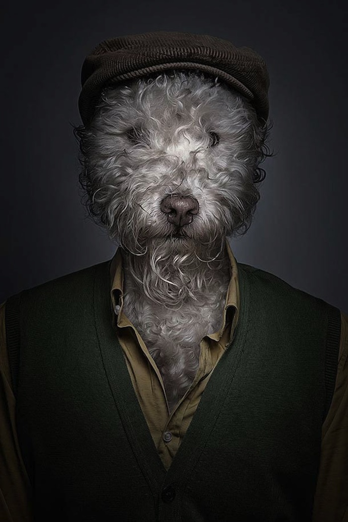 Underdogs_and_Undercats_by_Swiss_Photographer_Sebastian_Magnani_2015_11