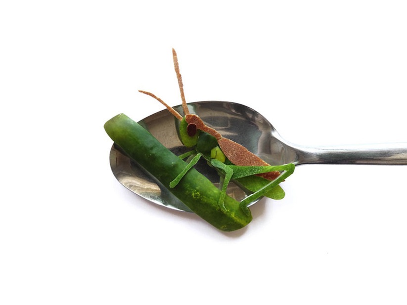 Miniature_Food_Art_Created_on_Spoons_by_Romanian_Artist_Ioana_Vanc_2015_11