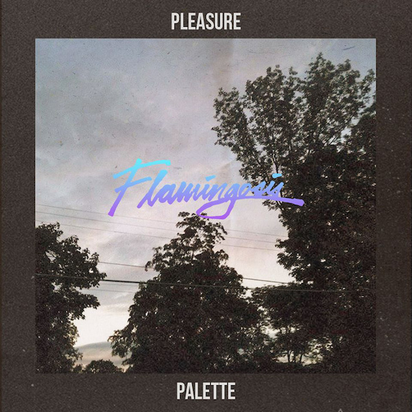 flamingosis_palette_cover