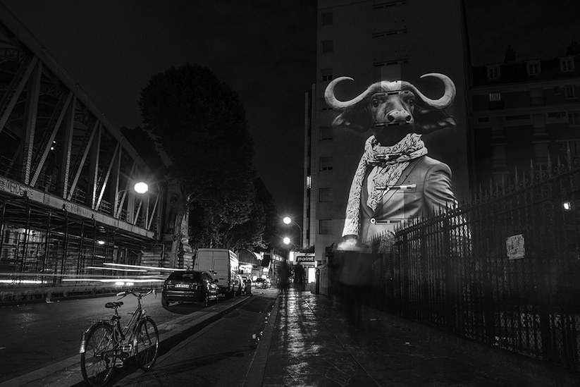 Safari_Urbain_Stunning_Projections_Of_Stylish_Hipster_Animals_On_The_Streets_Of_Paris_2015_05