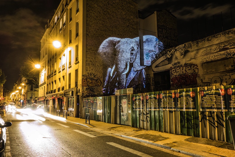 Safari_Urbain_Stunning_Projections_Of_Stylish_Hipster_Animals_On_The_Streets_Of_Paris_2015_08