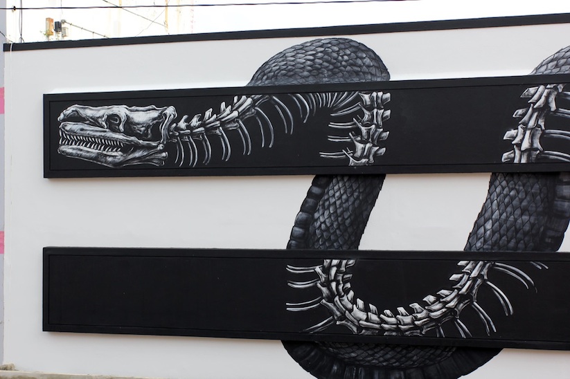 X_Ray_Snake_A_Large_New_Mural_by_Street_Artist_ROA_in_San_Juan_Puerto_Rico_2015_04