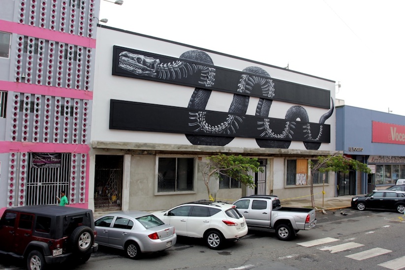 X_Ray_Snake_A_Large_New_Mural_by_Street_Artist_ROA_in_San_Juan_Puerto_Rico_2015_05