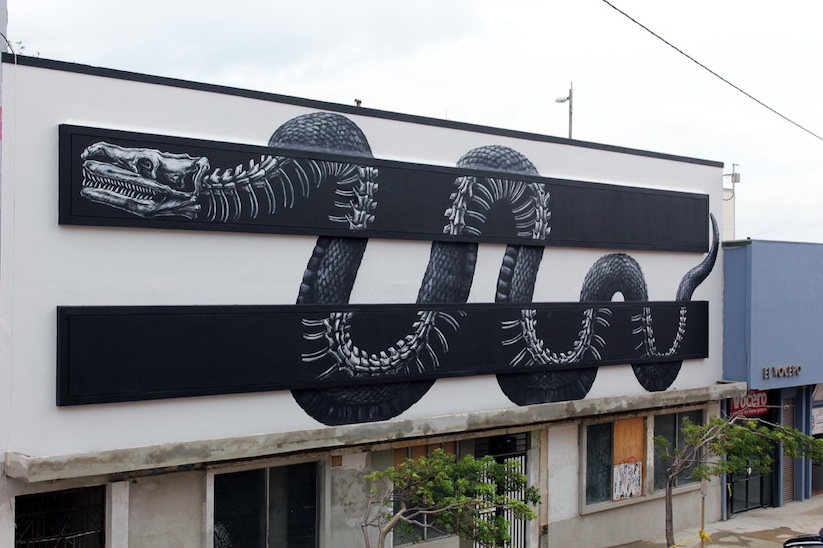 X_Ray_Snake_A_Large_New_Mural_by_Street_Artist_ROA_in_San_Juan_Puerto_Rico_2015_06