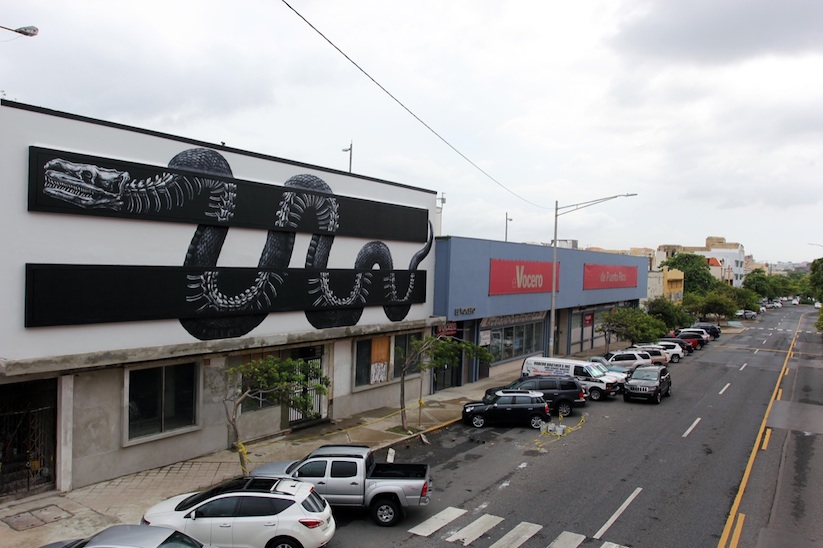 X_Ray_Snake_A_Large_New_Mural_by_Street_Artist_ROA_in_San_Juan_Puerto_Rico_2015_07