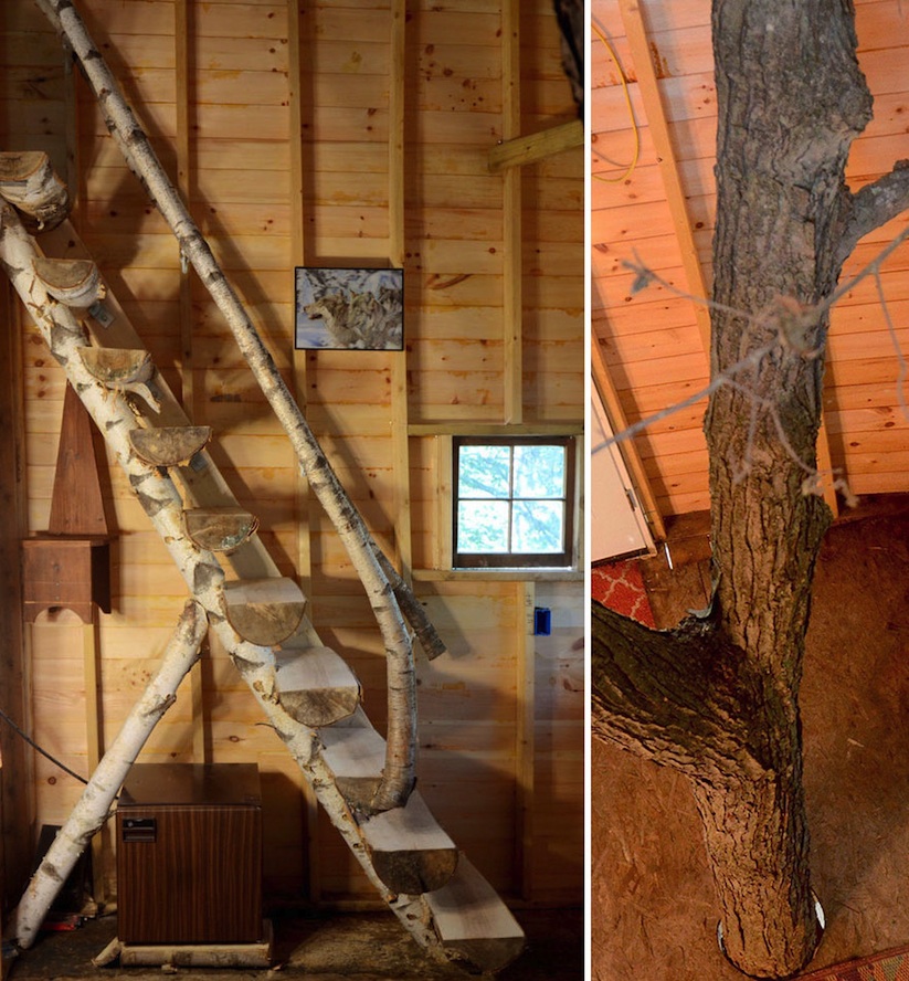 Jay_Hewitt_Builds_an_Epic_Backyard_Treehouse_in_Attleboro_Massachusetts_2015_04