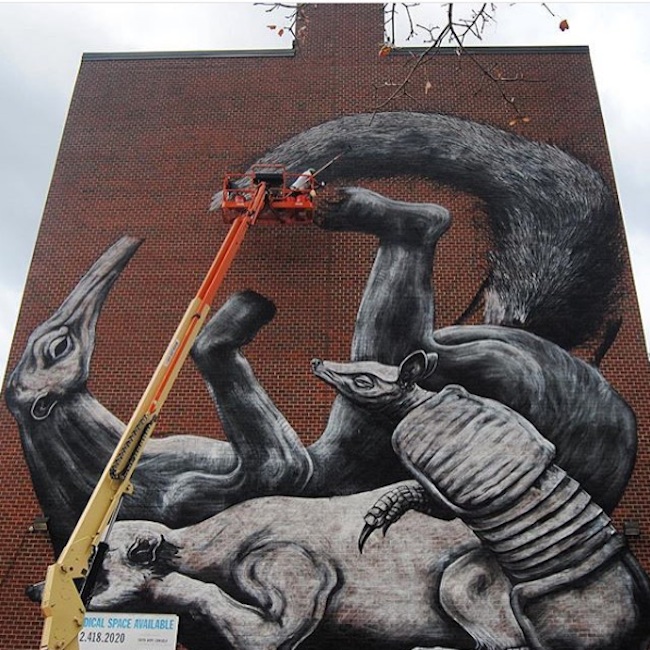 New_Mural_by_Street_Artist_ROA_for_Monument_Art_in_Harlem_NYC_2015_02