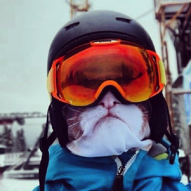 Animal_Ski_Masks_by_Russian_Tattoo_Model_Teya_Salat_2015_07