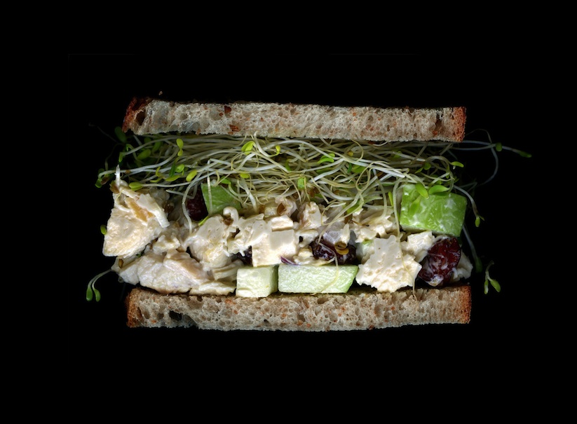 Scanwiches_by_Brooklyn_based_Designer_Jon_Chonko_2015_07