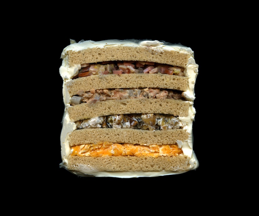 Scanwiches_by_Brooklyn_based_Designer_Jon_Chonko_2015_10