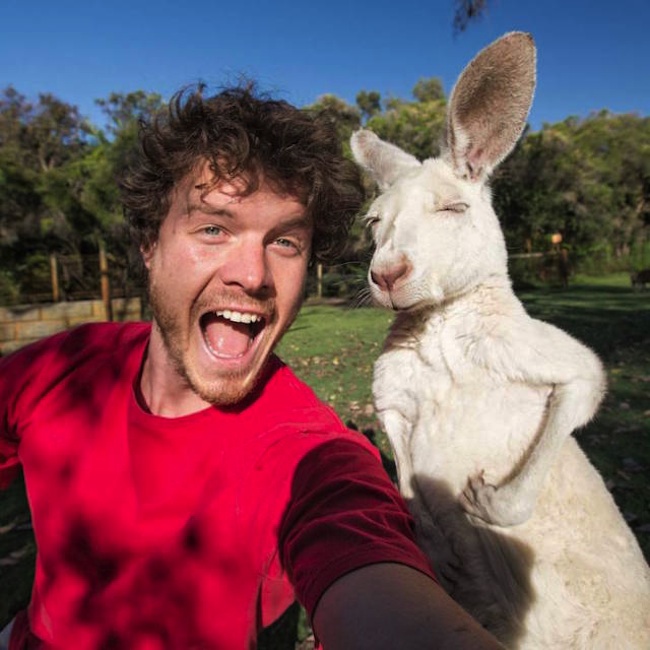 Allan_Dixon_Takes_Brilliant_Selfies_with_All_Kinds_of_Animals_2015_09