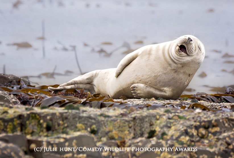 It's not funny.. I've got cramp in my flipper!