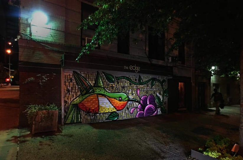 The_Audubon_Mural_Project_in_New_york_City_2015_05
