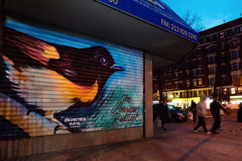 The_Audubon_Mural_Project_in_New_york_City_2015_08
