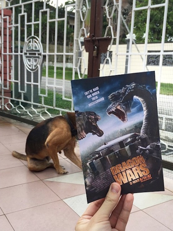 Famous_Movie_Posters_Hijacked_by_Dogs_2016_09