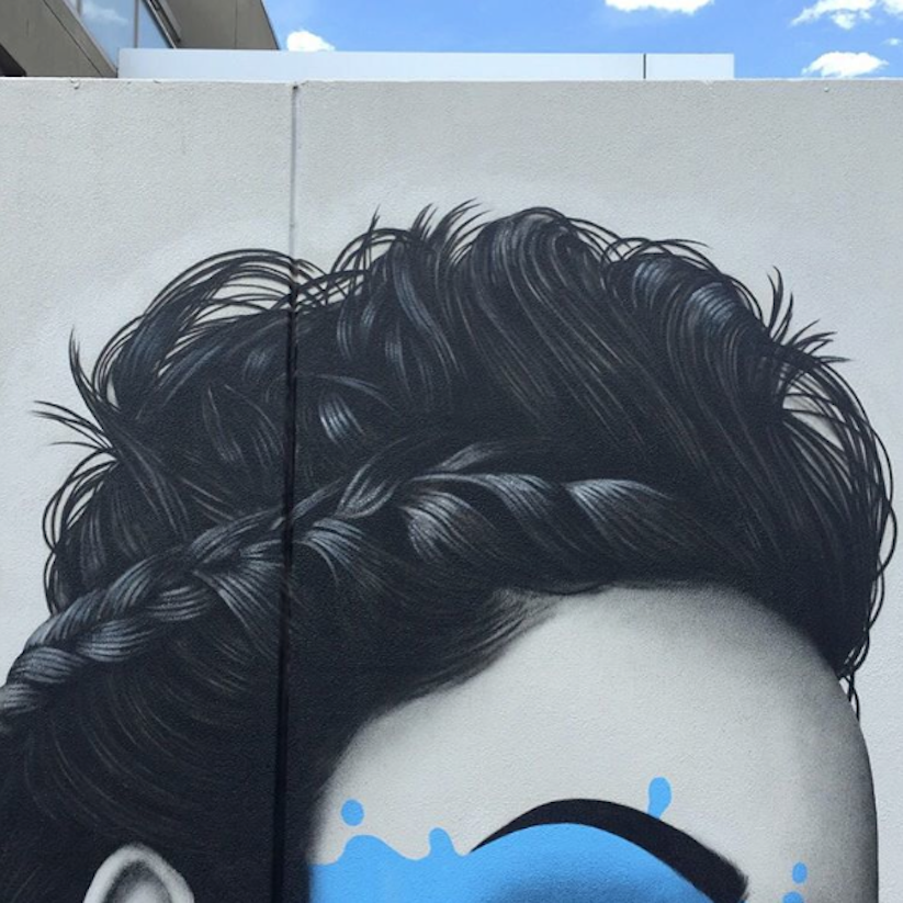 New_Gorgeous_Murals_by_Street_Artist_Fin_Dac_in_Melbourne_Adelaide_Australia_2016_05