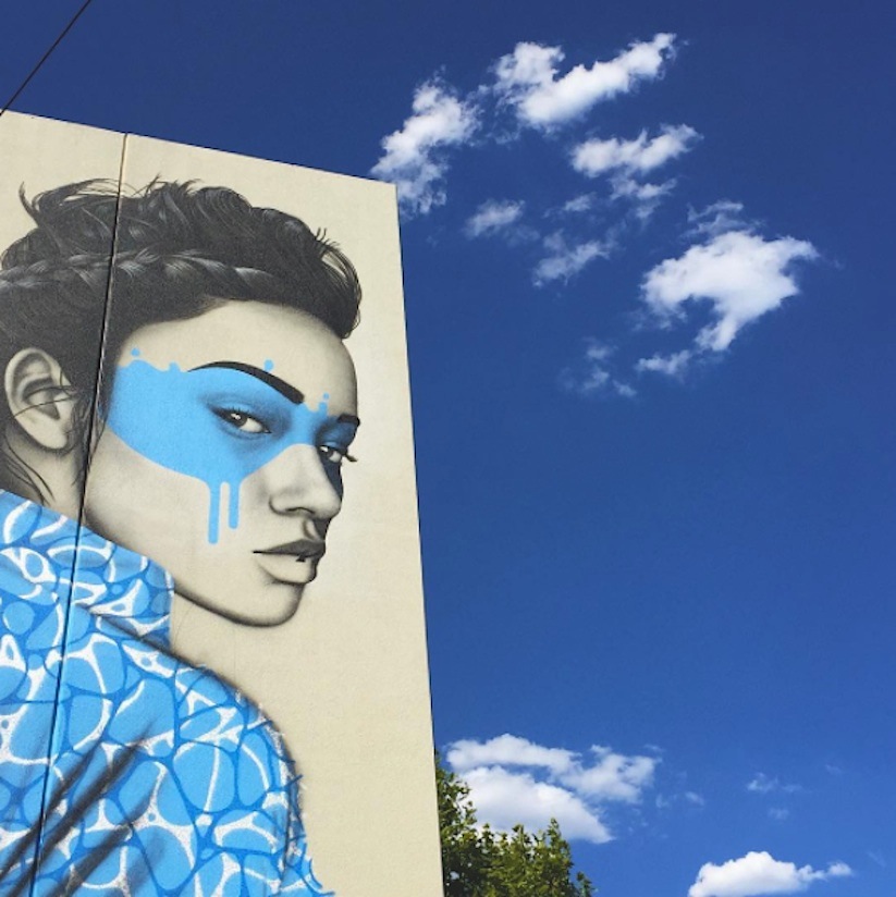 New_Gorgeous_Murals_by_Street_Artist_Fin_Dac_in_Melbourne_Adelaide_Australia_2016_07