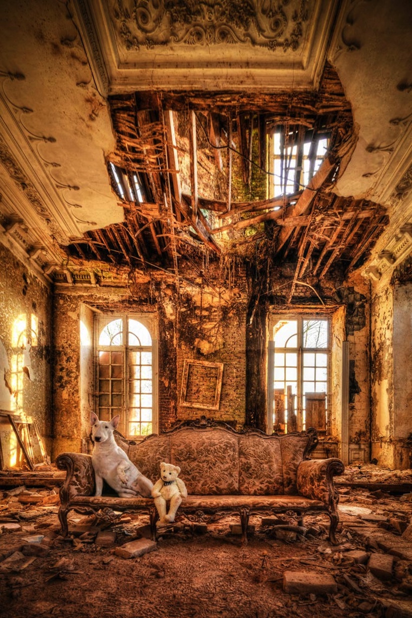 Urbex_Dog_by_Alice_van_Kempen_2016_13