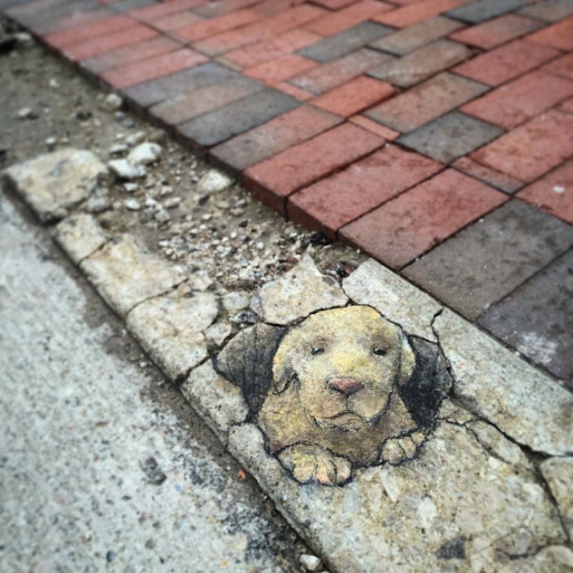 New_Quirky_Chalk_and_Charcoal_Street_Art_by_David_Zinn_2016_05