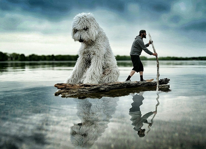 Meet_Photographer_Christopher_Cline_His_Giant_Dog_Juji_2016_06