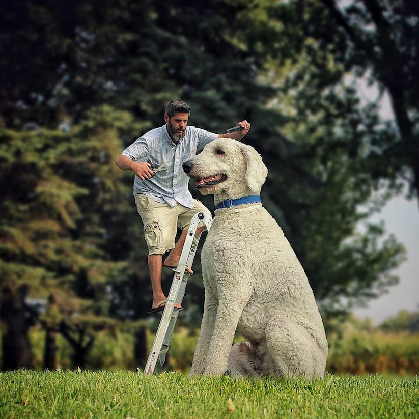 Meet_Photographer_Christopher_Cline_His_Giant_Dog_Juji_2016_12