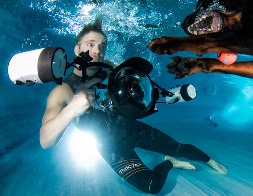 Underwater_Dogs_by_Seth_Casteel_2016_15