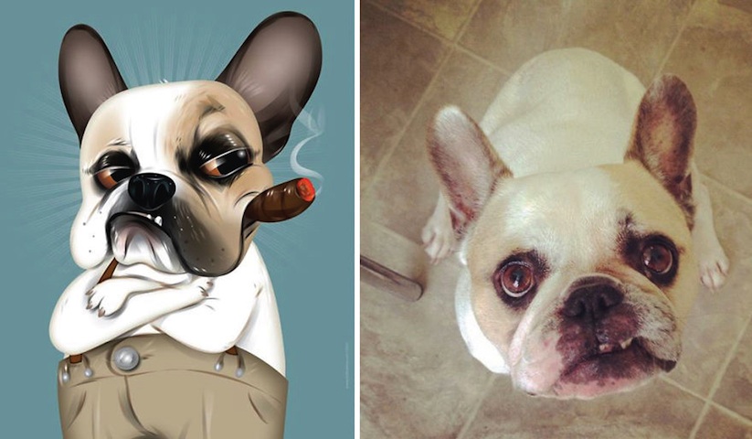 Adorable_Pet_Portraits_by_Illustrator_Chris_Beetow_2016_02