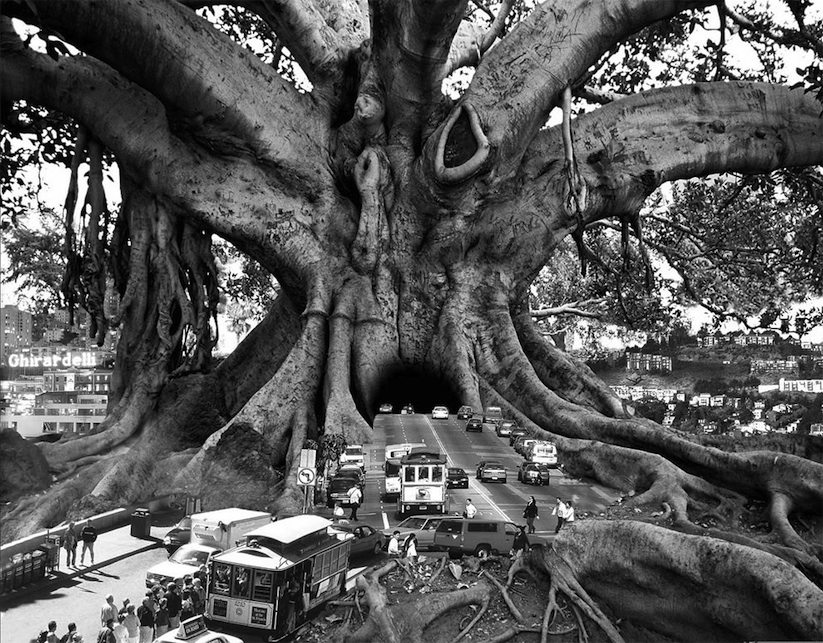 Surreal_Dreams_Analog_Photo_Montages_by_Thomas_Barbey_2016_01