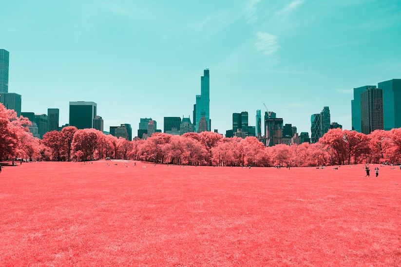 INFRARED_NYC_Central_Park_Captured_from_a_Different_Perspective_by_Paolo_Pettigiani_2016_01