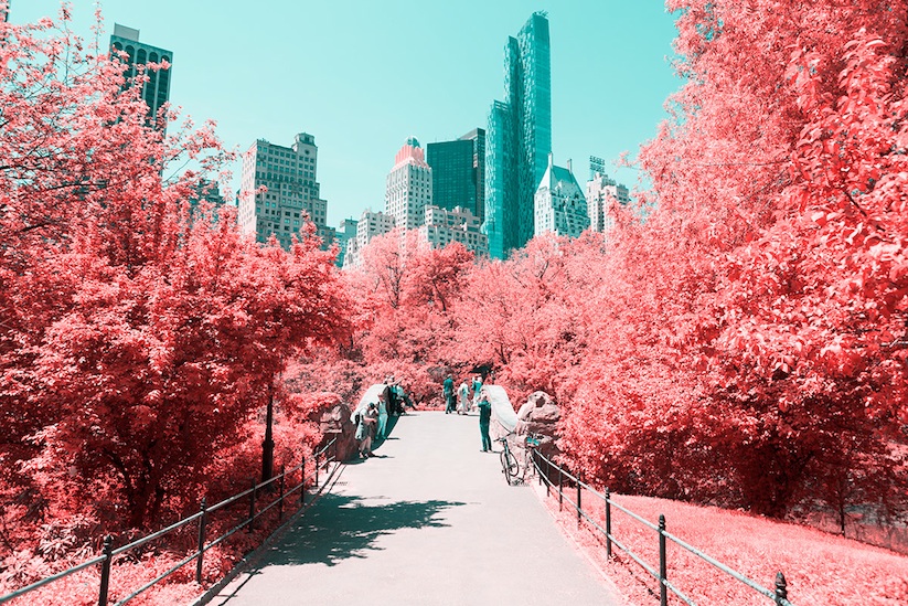 INFRARED_NYC_Central_Park_Captured_from_a_Different_Perspective_by_Paolo_Pettigiani_2016_02
