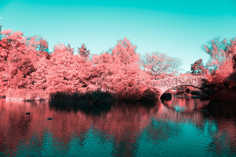 INFRARED_NYC_Central_Park_Captured_from_a_Different_Perspective_by_Paolo_Pettigiani_2016_03